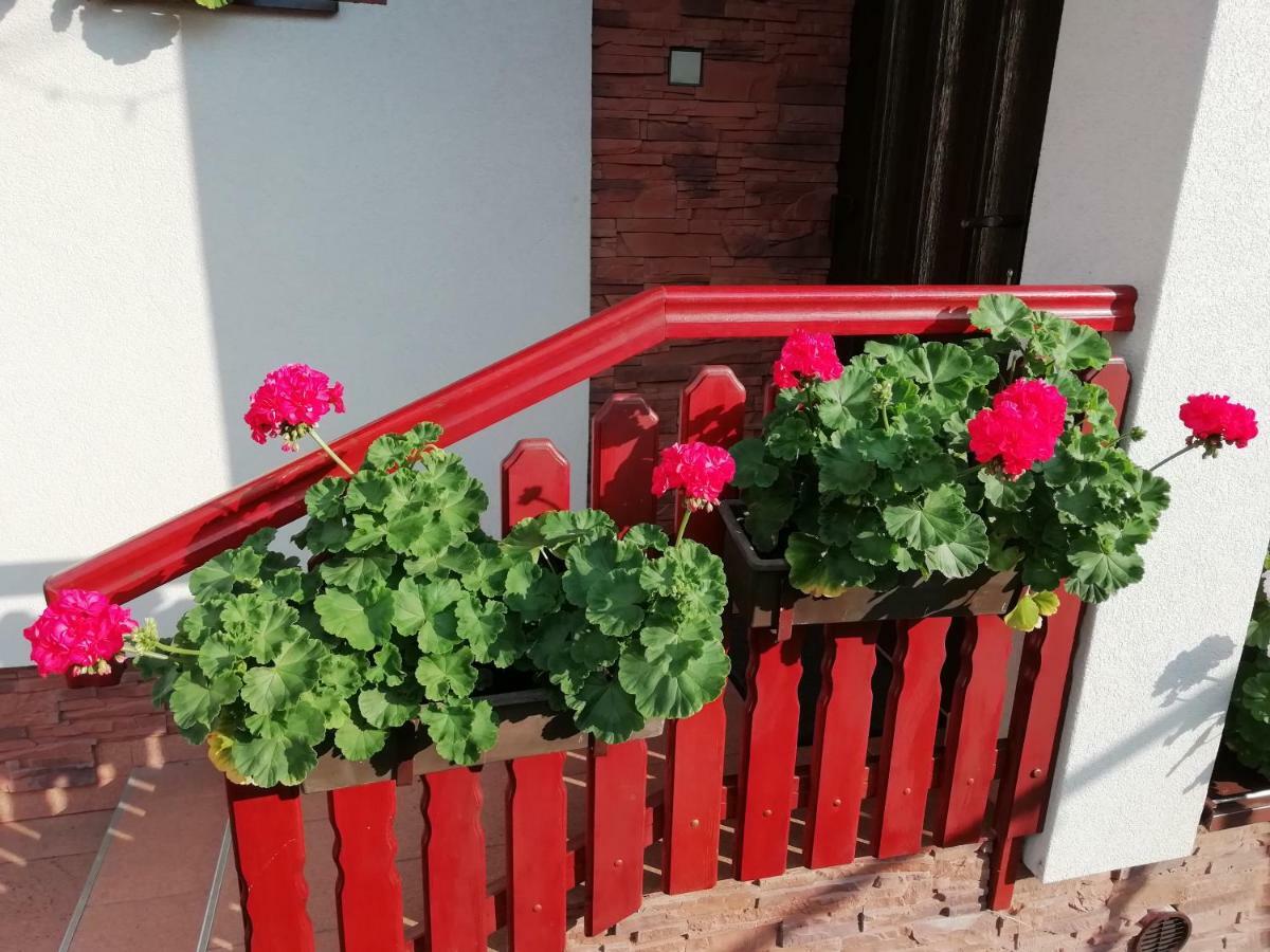 Privat Kovacova Villa Ziar Luaran gambar
